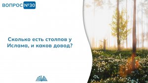 Вопрос № 30. Сколько столпов у Ислама? | Абу Яхья Крымский