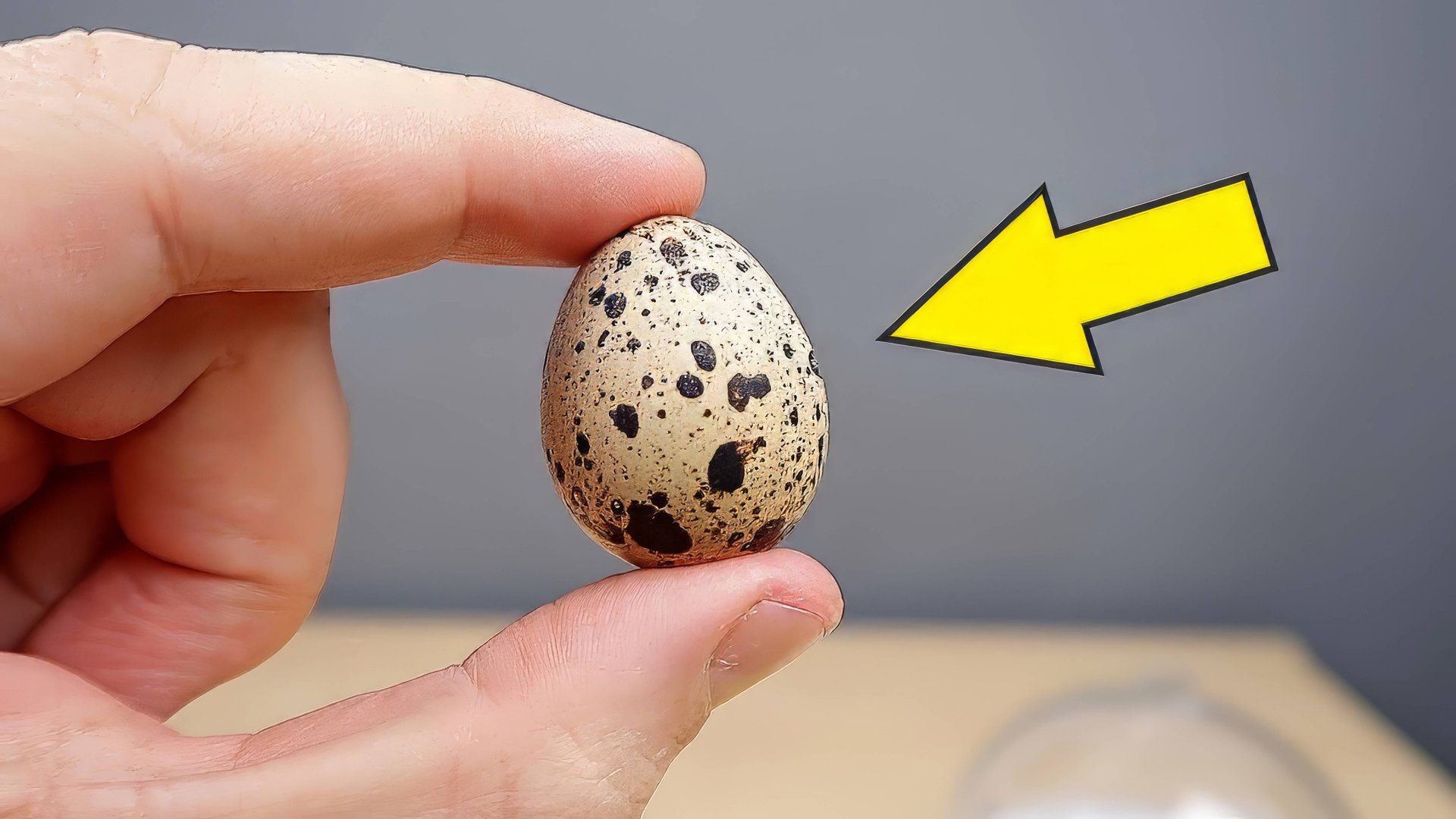 Инкубатор из Китая. Часть 2. Просветил яйца фонариком! Там что-то есть! Овоскопия. alex boyko смотреть онлайн