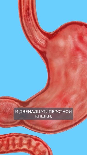 Как и чем восполнять Витамин С смотреть онлайн