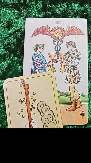 КАКОЙ ОН НА САМОМ ДЕЛЕ #расклад_на_ картах_таро#гадание_онлайн #таро_расклад_на_любовь #shorts смотреть онлайн