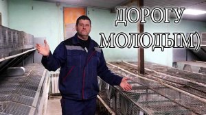 Теперь точно ВСЁ