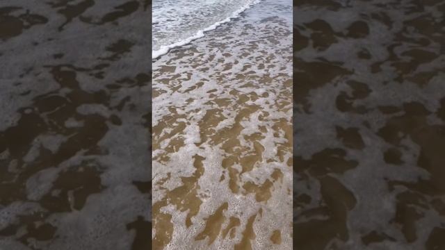 «Глобальные мысли»