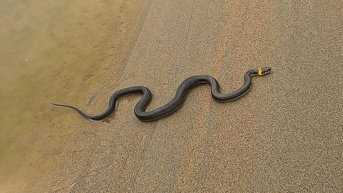 Осенняя рыбалка на Обских плесах ! смотреть онлайн