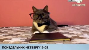 Смена Логотипа (Россия-1 Варя, 03.11.2025) 19:13