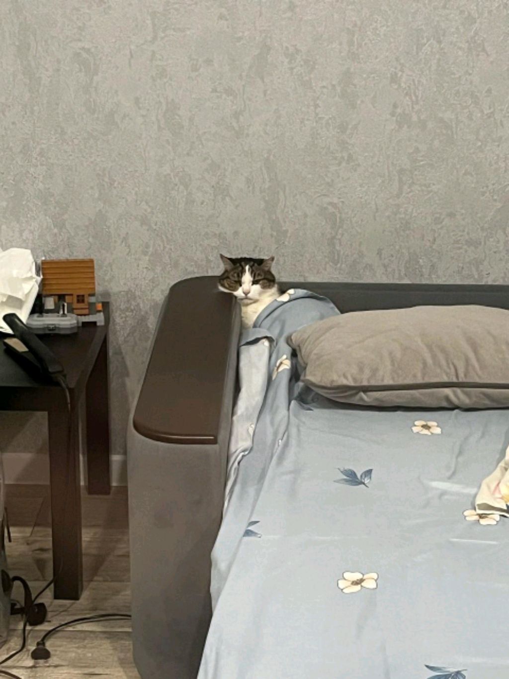 мой трек видео смотреть онлайн