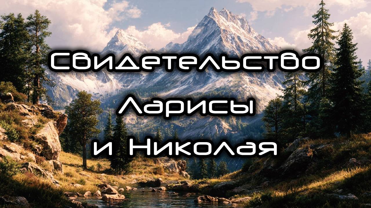 Свидетельство Ларисы и Николая смотреть онлайн