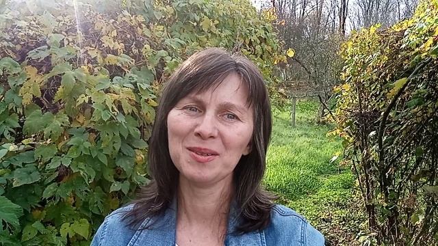 Видео прямых эфиров по запросам людей.
