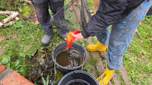 Запись стрима с ютуба от 3.11.25. Распаковка бетонного прудика с карасями