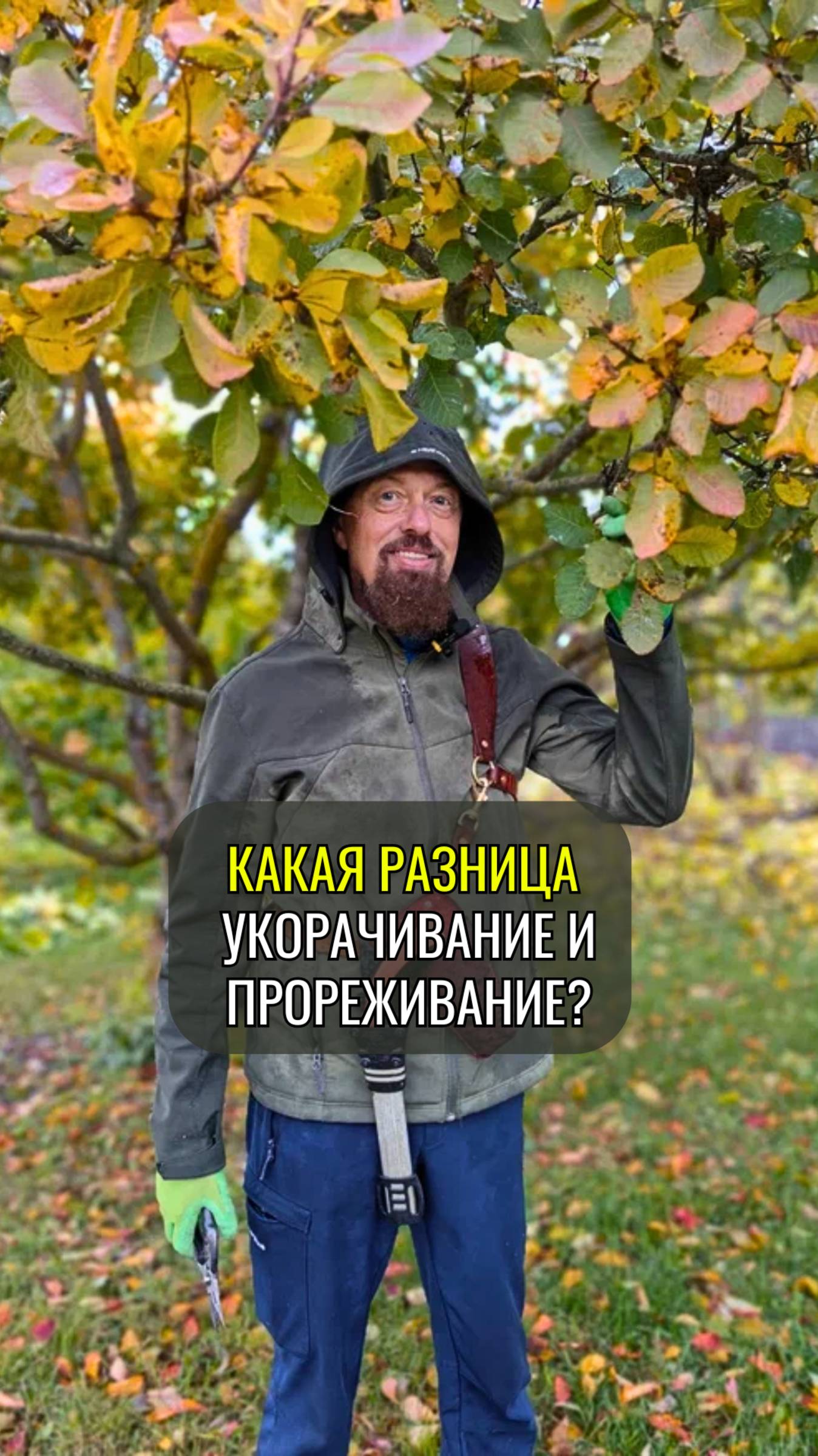 Какая разница между укорачиванием и прореживанием? смотреть онлайн