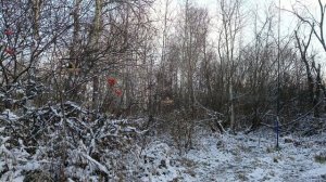 Ловля 03.11.25.