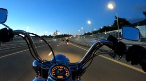 Rose street / Улица роз