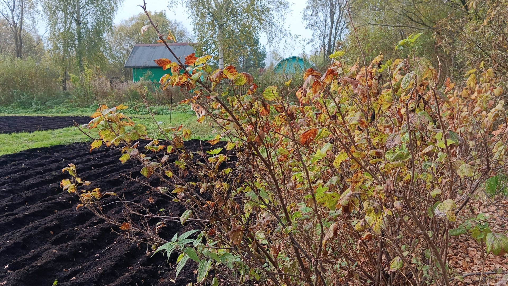 зашла на канал ЛЮБАШИНЫ Будни ⚡ что я там Увидела 🫣 смотреть онлайн