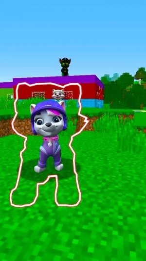 ПОЙМАЙ ЩЕНЯЧИЙ ПАТРУЛЬ в МАЙНКРАФТ PAW PATROL МУЛЬТИК #shorts