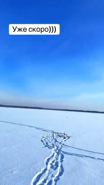 1000004782.mp4 смотреть онлайн