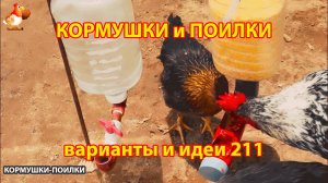 Кормушки и поилки для кур своими руками (211) 🪚✂️ Пошаговая инструкция как сделать 🐔 🐓❣️