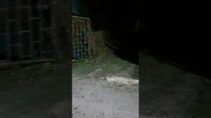 втрая часть на речке