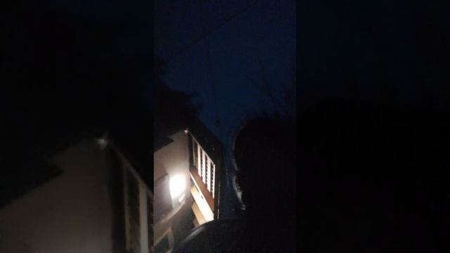 меня выгнали из дома?