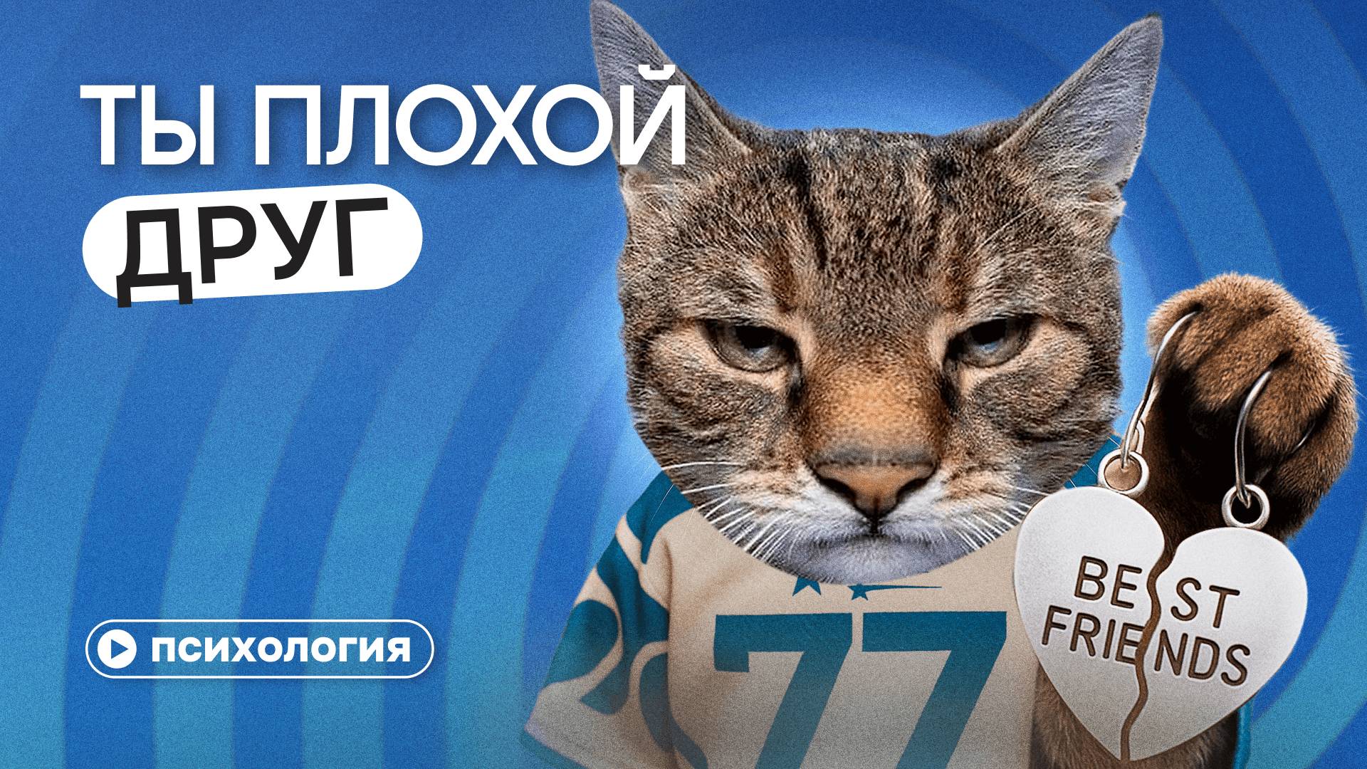 Почему так сложно дружить: ДРУЖЕСКАЯ РЕВНОСТЬ, токсичная дружба, фейковые друзья и одиночество