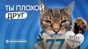 Почему так сложно дружить: ДРУЖЕСКАЯ РЕВНОСТЬ, токсичная дружба, фейковые друзья и одиночество