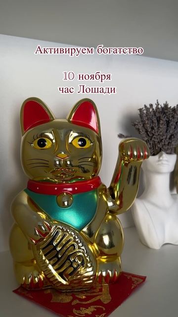 Активация богатства в ноябре