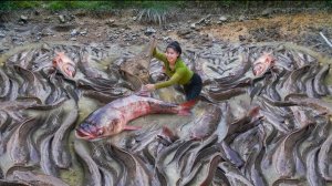 Ловлю рыбу осушением пруда. Везу рыбу на продажу на местный рынок. Жизнь во Вьетнаме