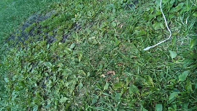 1000003620.mp4 смотреть онлайн