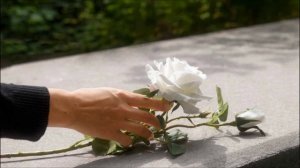 ПРИВЕТ, СЫНОК...