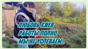 САМВЕЛ АДАМЯН, ЛЮБОВЬ КИЕВ, РАБОТЫ ПОЛНО, МЫ НЕ  УСПЕВАЕМ..