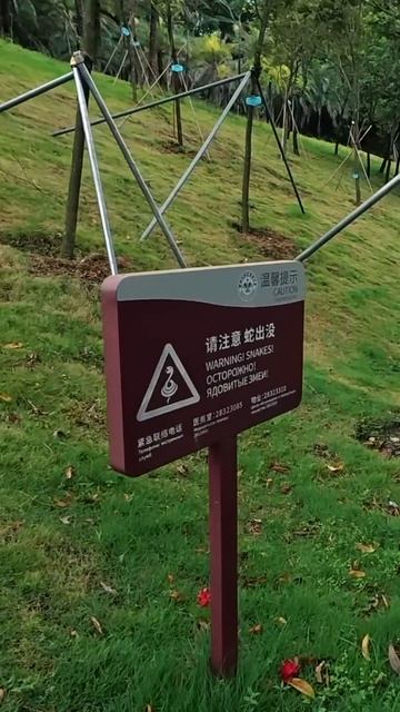 Предупреждающие таблички в китайском МГУ #shorts смотреть онлайн