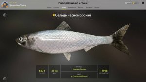 ТРОФЕЙ СЕЛЬДЬ ЧЕРНОМОРСКАЯ!!!СЕВЕРСКИЙ ДОНЕЦ - РУССКАЯ РЫБАЛКА 4