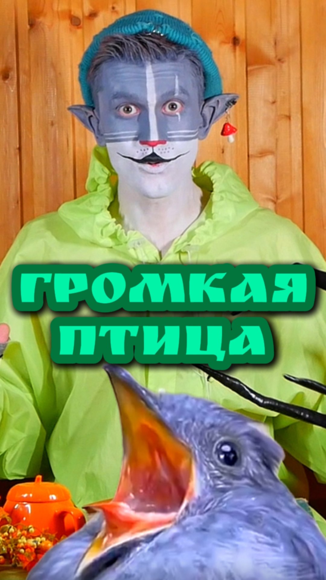 Кот Учёный и Громкая птица 🐦 смотреть онлайн