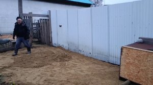 МУЖ ДЕЛАЕТ НОВУЮ БУДКУ ДЛЯ РЕКСА👋