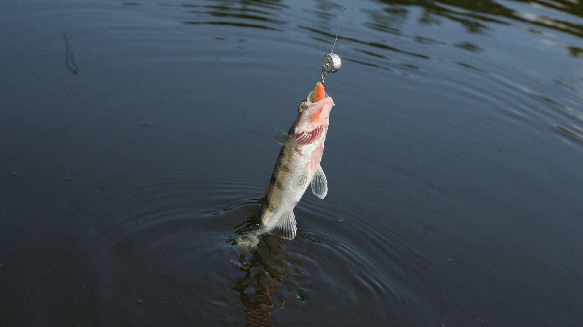 "ТОЧКА ЗАБРОСА" Спортсмены берегового спиннинга...