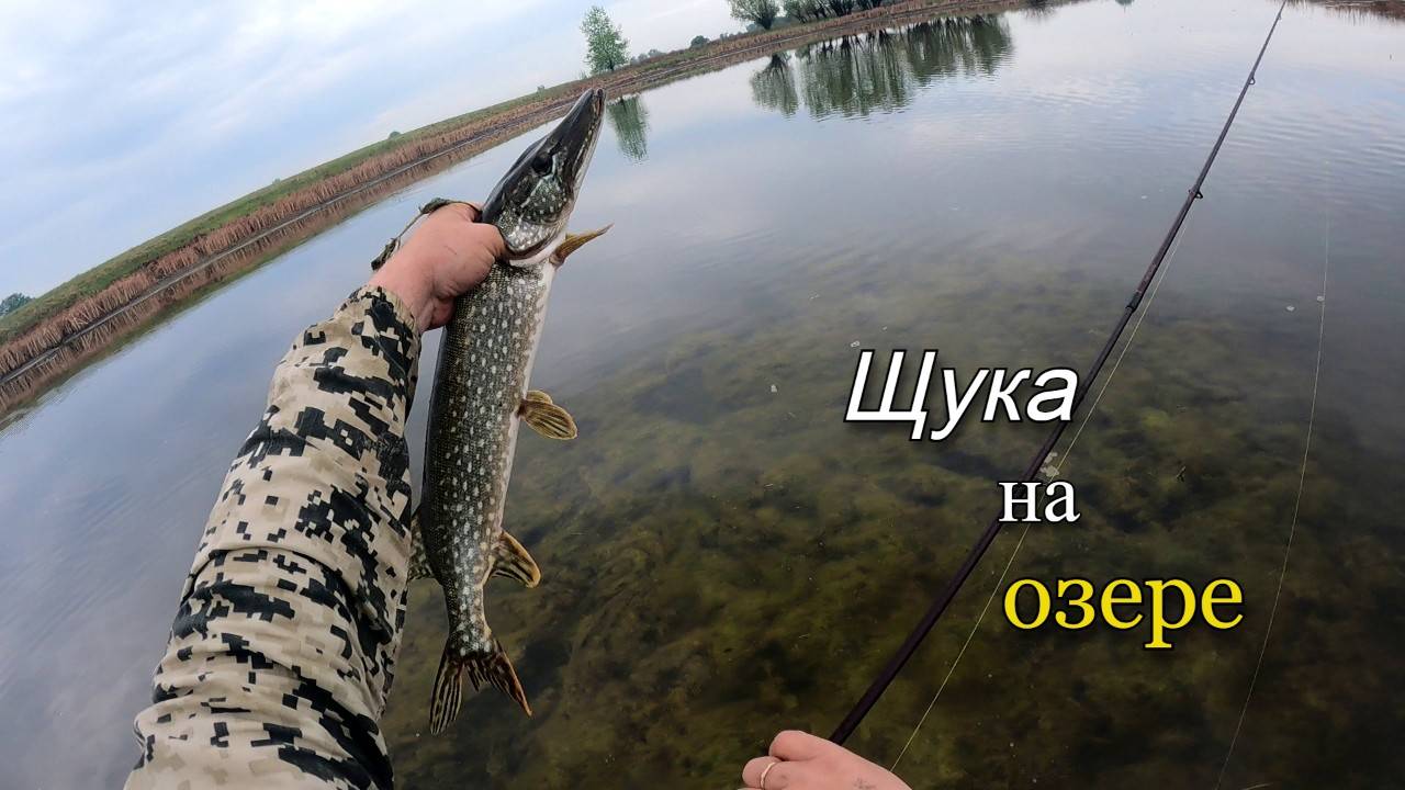 Ловля щуки в пересыхающем озере. Щука клюет на каждом забросе смотреть онлайн