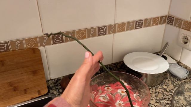 Жизнь Наташи и её семьи в Испании. смотреть онлайн