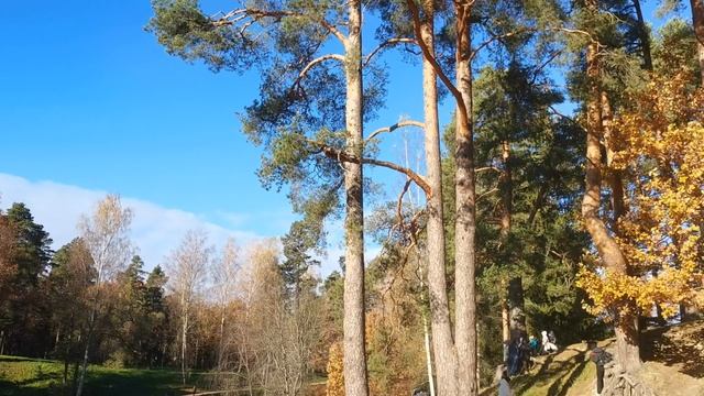 Осенние краски Верхнего парка в Ораниенбауме. смотреть онлайн