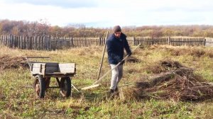 ДЕРЕВЕНСКАЯ ЖИЗНЬ, ПРИВОЖУ ОГОРОД В ПОРЯДОК!!!