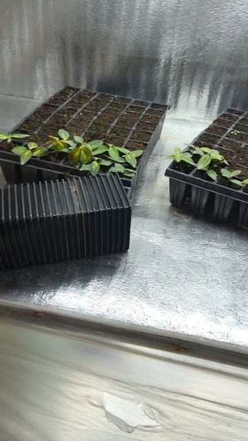 Шило-мочало начинай с начала😁 смотреть онлайн