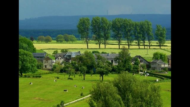 стих ЦАРЬ В ГОЛОВЕ читает автор Влад. Семенов