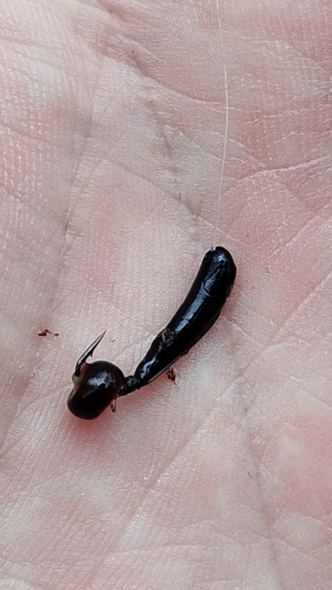 БОКОВОЙ КИВОК МОРМЫШКА БЕЗМОТЫЛКА смотреть онлайн