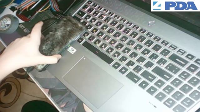 Утренний оркестр