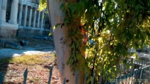 Сиде старый город 1