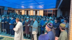 Таьзет Гараева Сайд-Мохьмада 💔