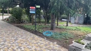 Алушта  ноябрь 2025 г. Санаторий Славутич