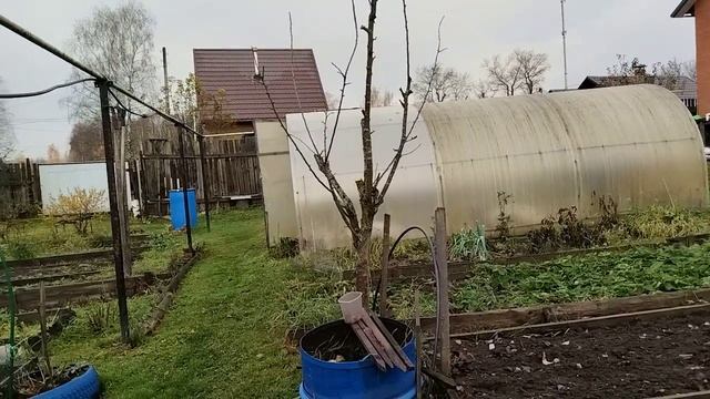 Обзор моего участка коец октября начало ноября. смотреть онлайн