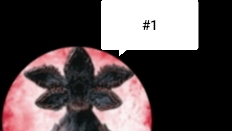 AntarcticA 88 сложность легко #1