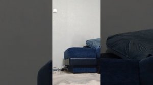 уууууууууулетаю на гаити