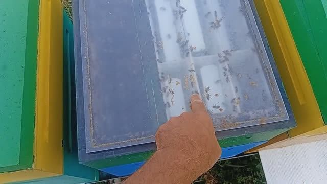 Удивительно но факт