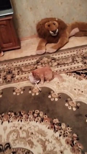 Леопольд и мышка смотреть онлайн