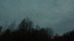 Весенняя охота на вальдшнепа 2025. только выстрелы